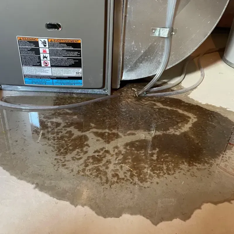 Appliance Leak Cleanup in Westport, IN